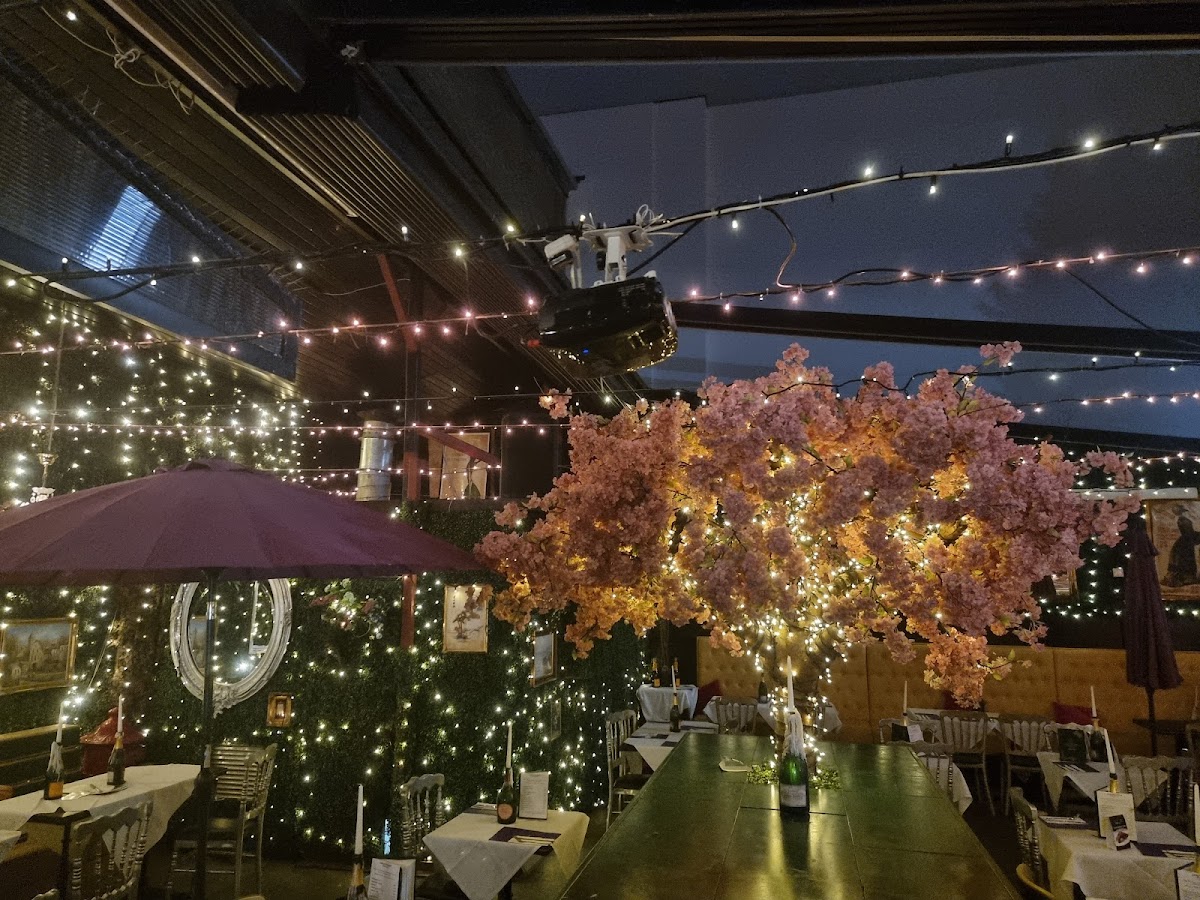 The Treehouse Photos 2